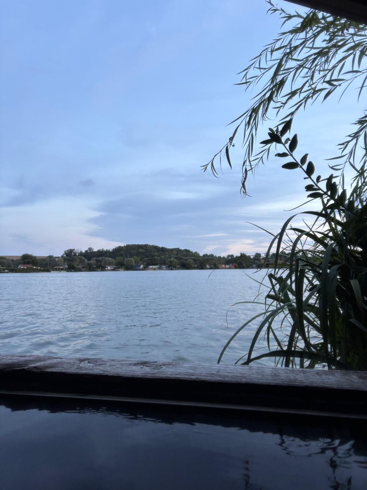 Vue sur l'étang